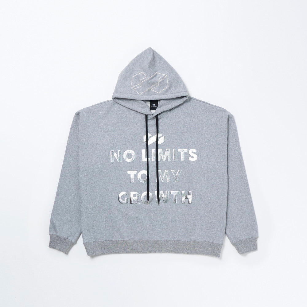 NO LIMITS BIG LOGO HOODIE - GRAY | 山岸秀匡 STIMIRON公式通販